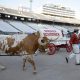 NCAA Football: Texas at Oklahoma