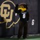 NCAA Football: Oregon State at Colorado